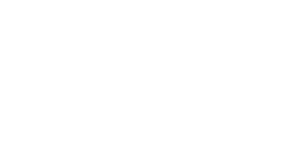 IPMS Academy